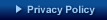 HUGO Privacy Policy ������Ѓq���[�S �v���C�o�V�[�|���V�[